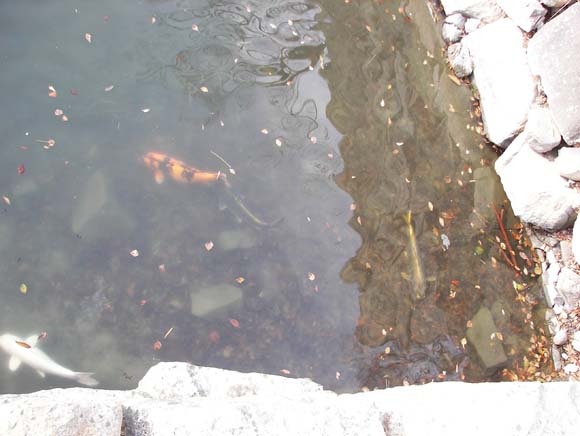 JapanHiroshima_194