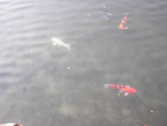 JapanHiroshima_196