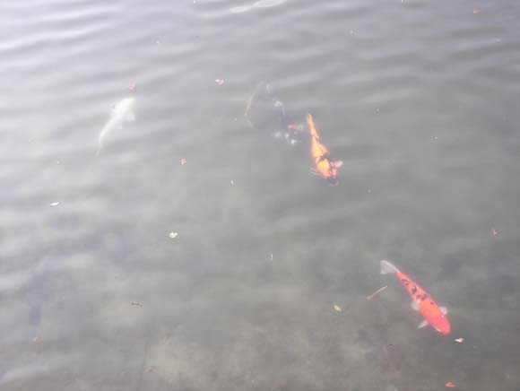 JapanHiroshima_197