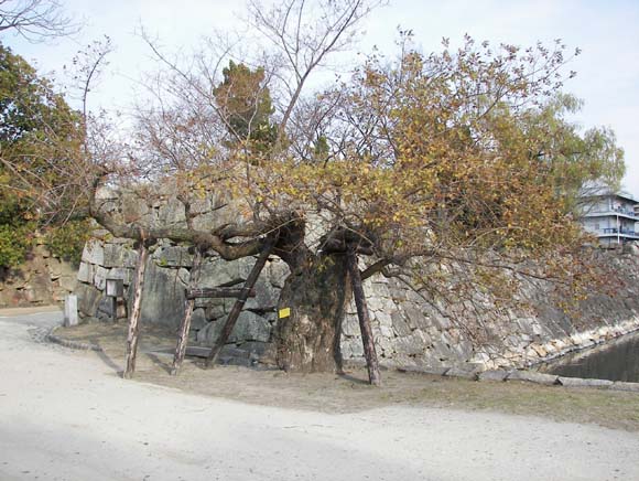 JapanHiroshima_200